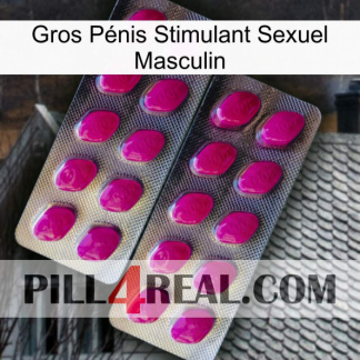Gros Pénis Stimulant Sexuel Masculin 10